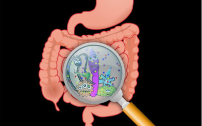 Un organo sconosciuto: il microbiota